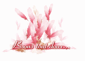 bizou amel