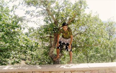 tjrs moi najibou